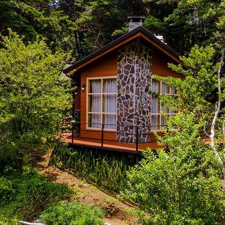 Los Pinos Cabins & Reserve Monteverde Екстер'єр фото