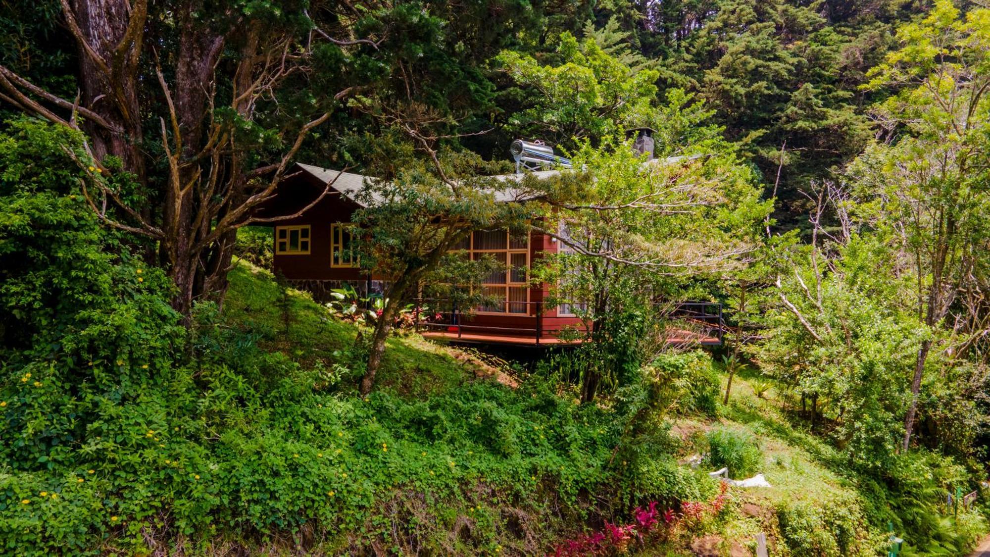 Los Pinos Cabins & Reserve Monteverde Екстер'єр фото