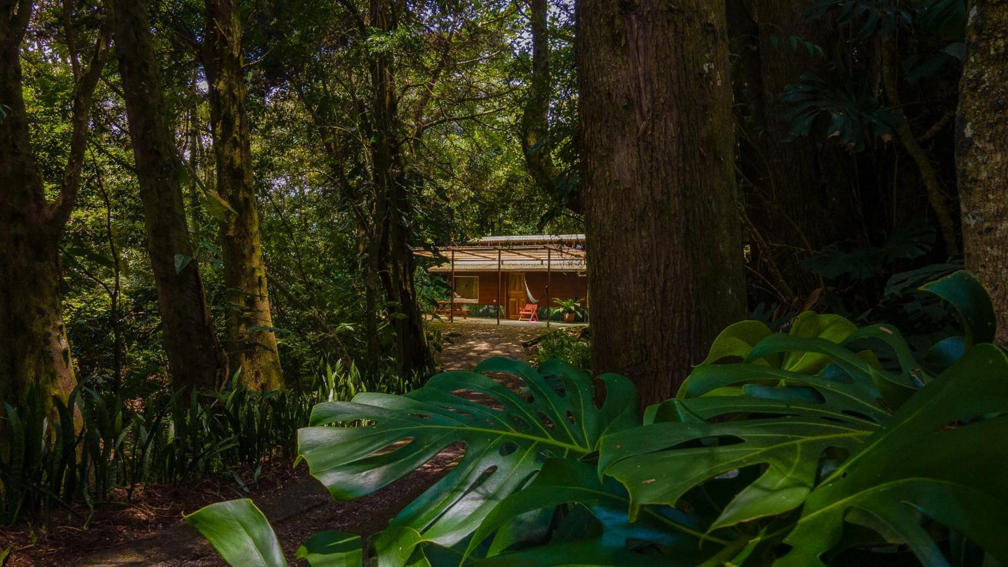 Los Pinos Cabins & Reserve Monteverde Екстер'єр фото