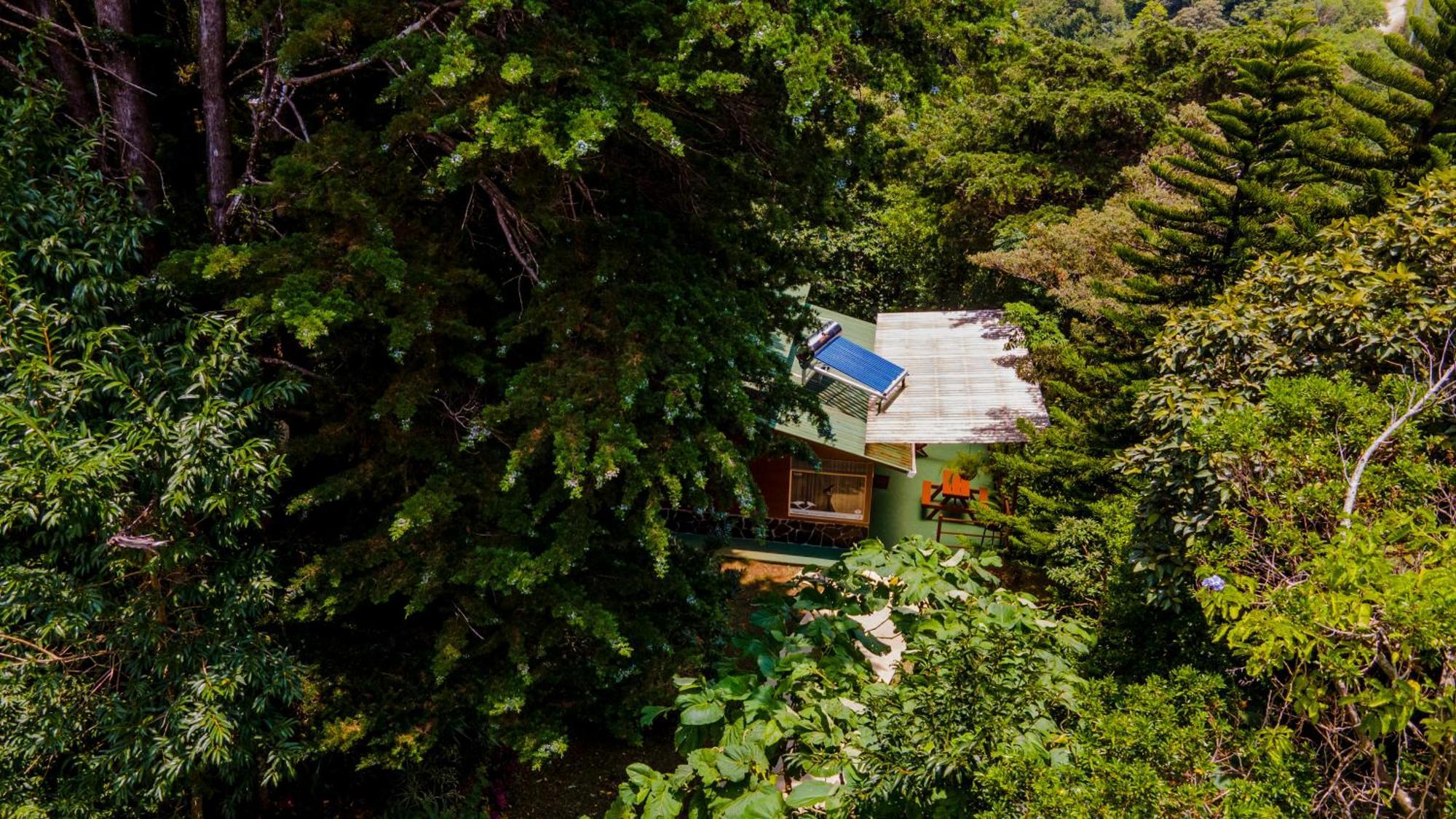 Los Pinos Cabins & Reserve Monteverde Екстер'єр фото