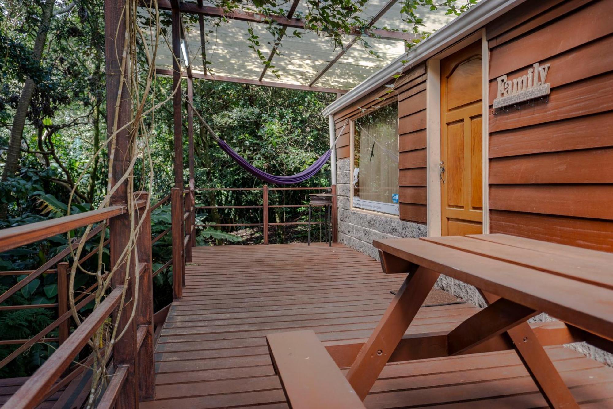 Los Pinos Cabins & Reserve Monteverde Екстер'єр фото