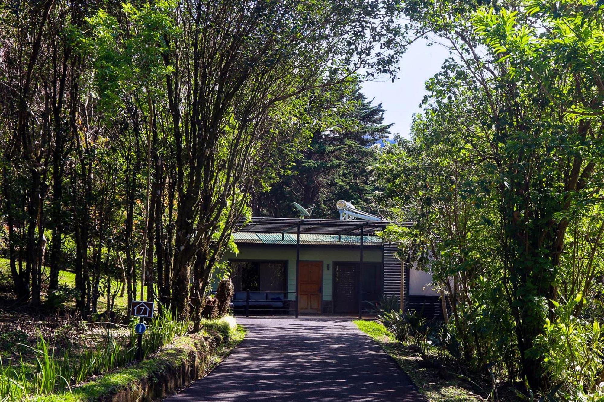 Los Pinos Cabins & Reserve Monteverde Екстер'єр фото