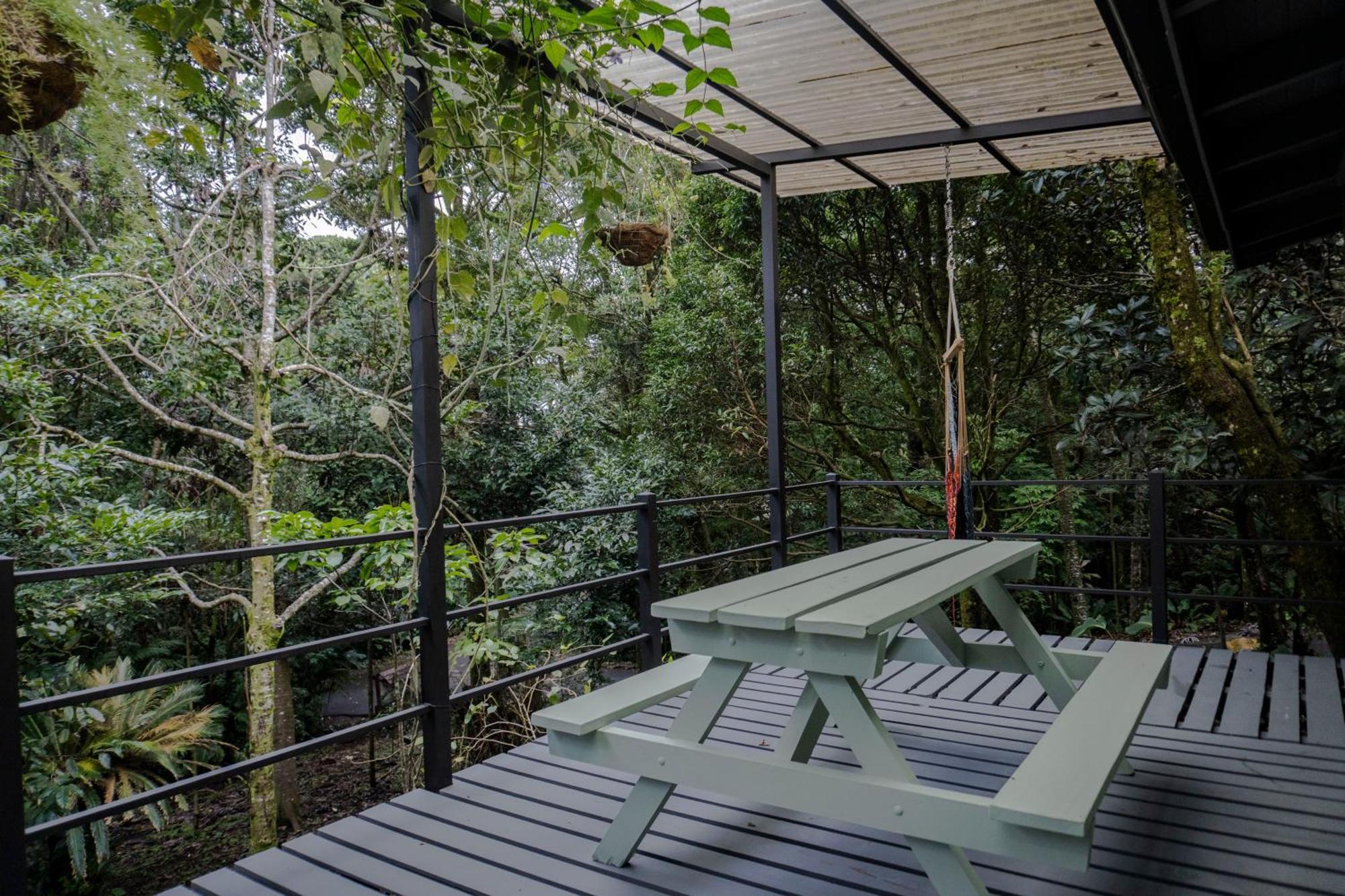 Los Pinos Cabins & Reserve Monteverde Номер фото