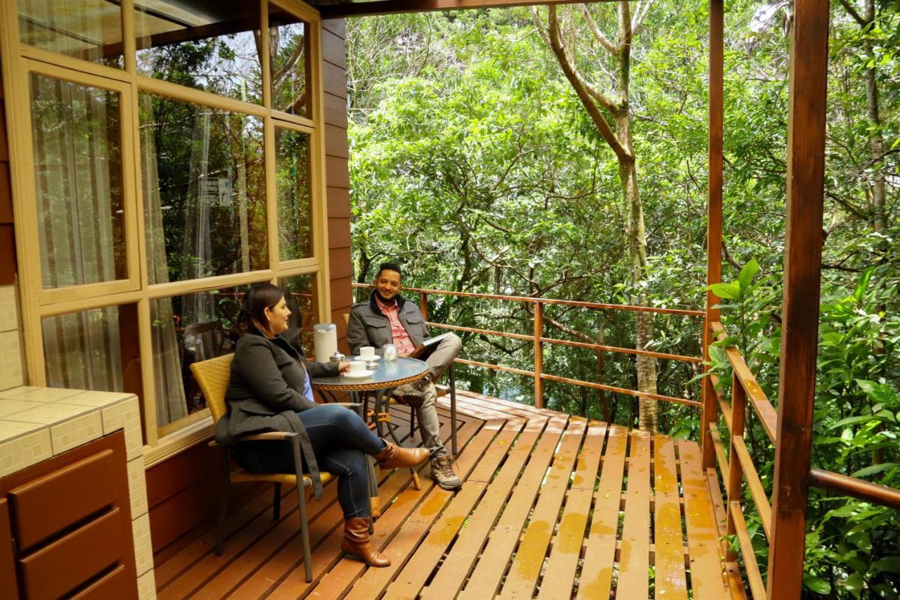 Los Pinos Cabins & Reserve Monteverde Екстер'єр фото
